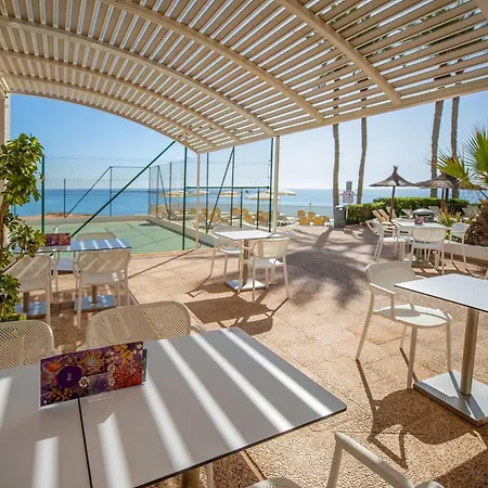 Servigroup La Zenia 4 Sup